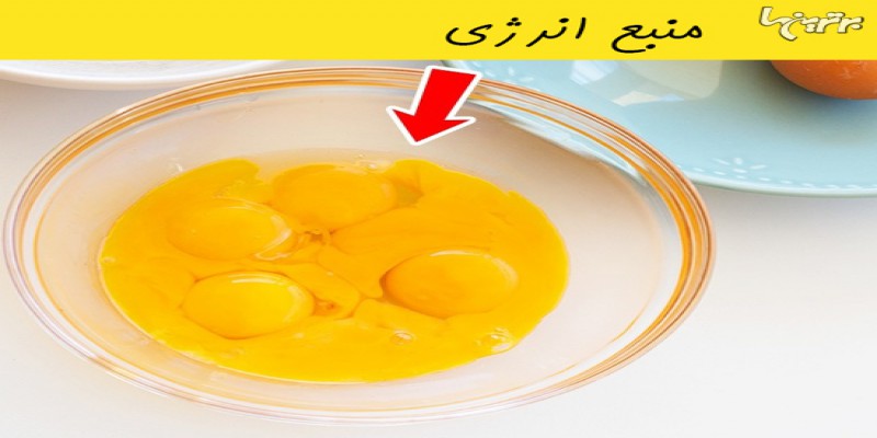ایا زرده تخم مرغ نسبت به سفیده ان مواد مغذی بیشتری دارد؟
